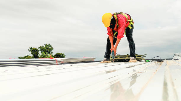 Best Metal Roofing Installation  in Mazon, IL
