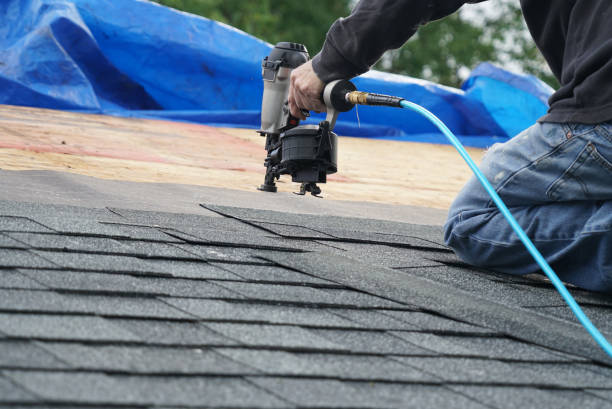 Best Roof Insulation Installation  in Mazon, IL
